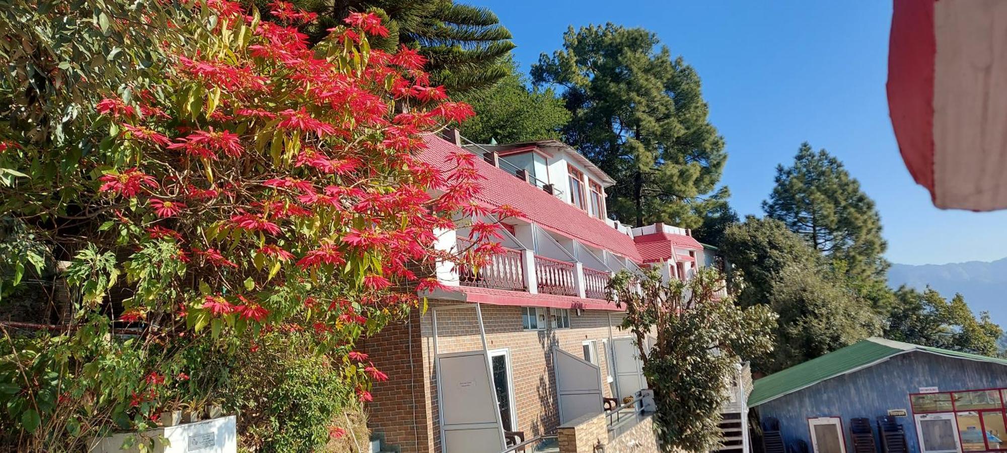 Blue Pine Resort Lansdowne Eksteriør billede